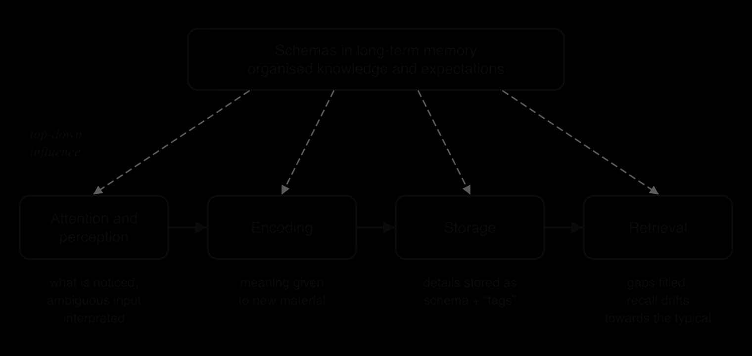 Flow from attention and perception to encoding, storage and retrieval, with dashed arrows from schemas in long-term memory to every stage: schemas decide what is noticed, give meaning, store details as schema plus tags, and fill gaps at recall.