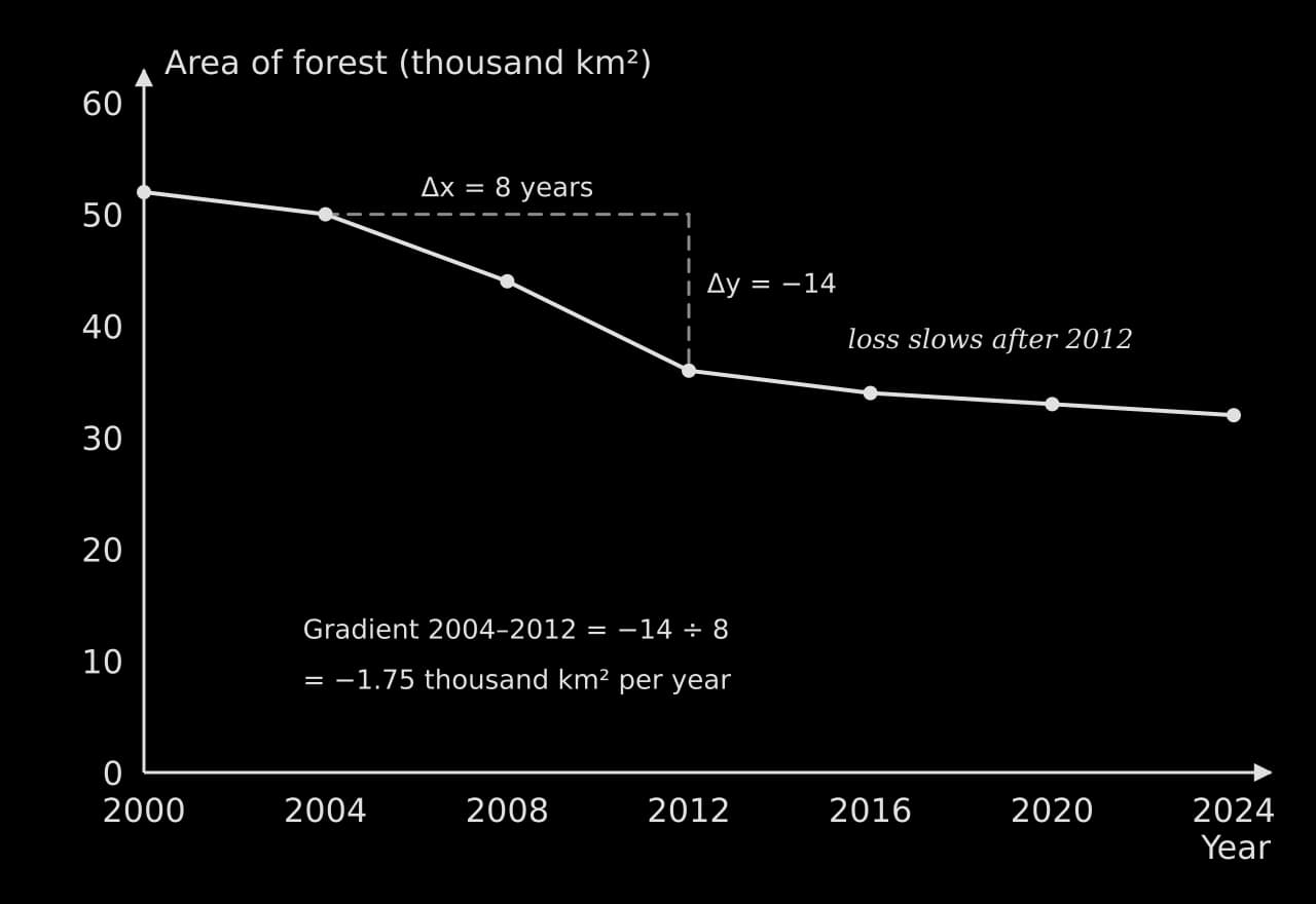 Line graph of hypothetical forest area, 2000–2024: 52, 50, 44, 36, 34, 33 and 32 thousand km². A dashed triangle from 2004 to 2012 shows Δx = 8 years and Δy = −14, a gradient of −1.75 thousand km² per year; loss slows after 2012.