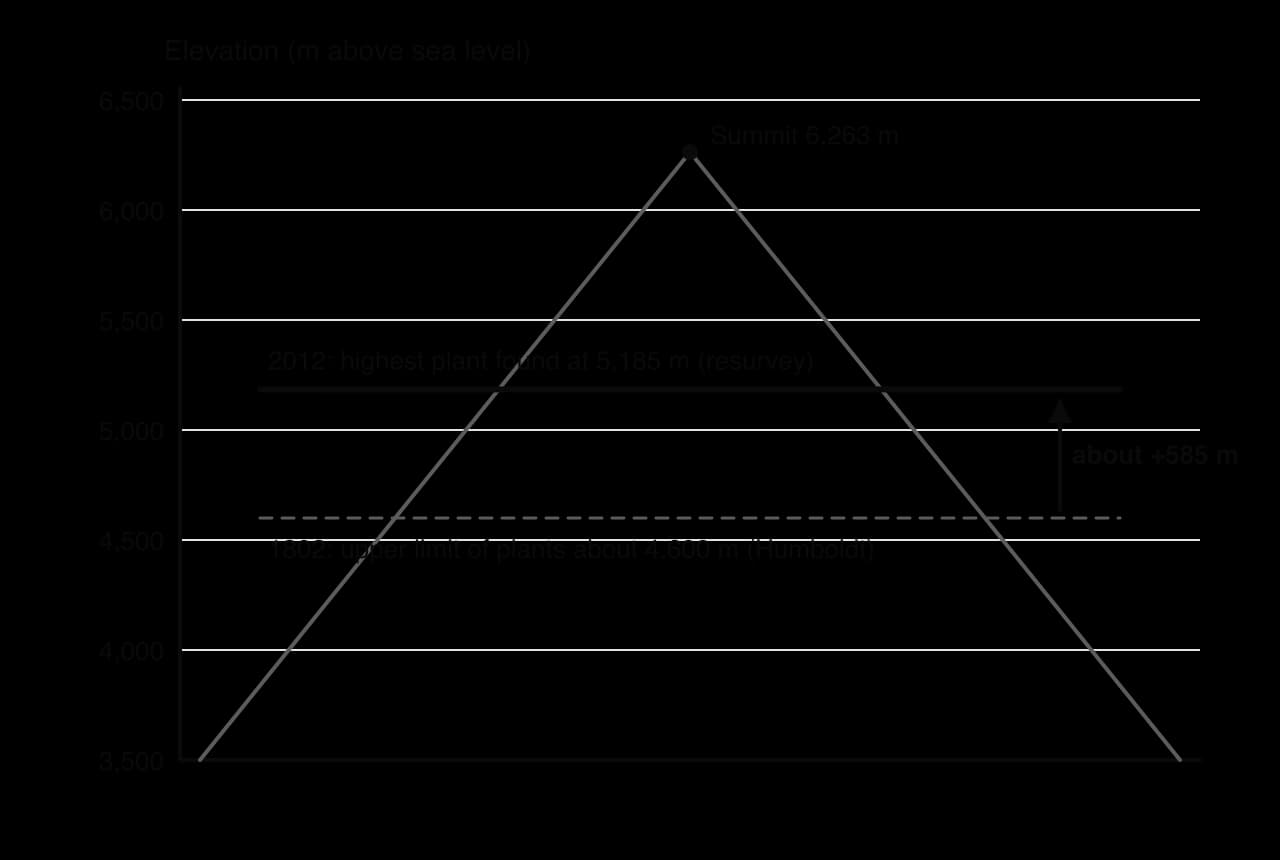 Chimborazo elevation chart, 3,500–6,500 m: summit 6,263 m; upper limit of plants about 4,600 m in 1802 (Humboldt) and 5,185 m in 2012 (resurvey), a rise of about 585 m.