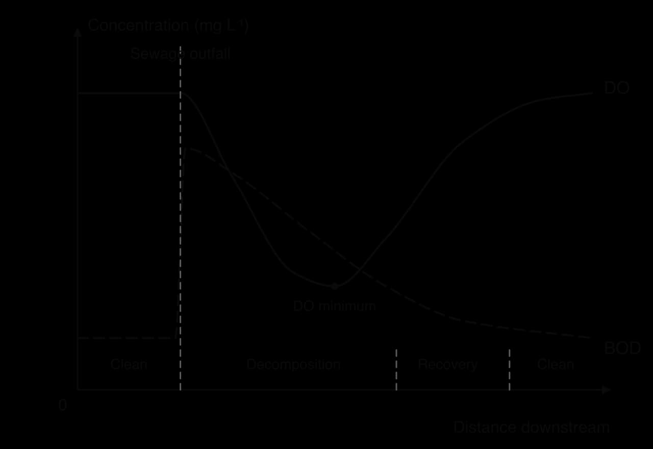 Oxygen sag curve against distance downstream of a sewage outfall. BOD jumps at the outfall then declines. Dissolved oxygen falls to a minimum in the decomposition zone, then rises through the recovery zone back to clean-water levels.