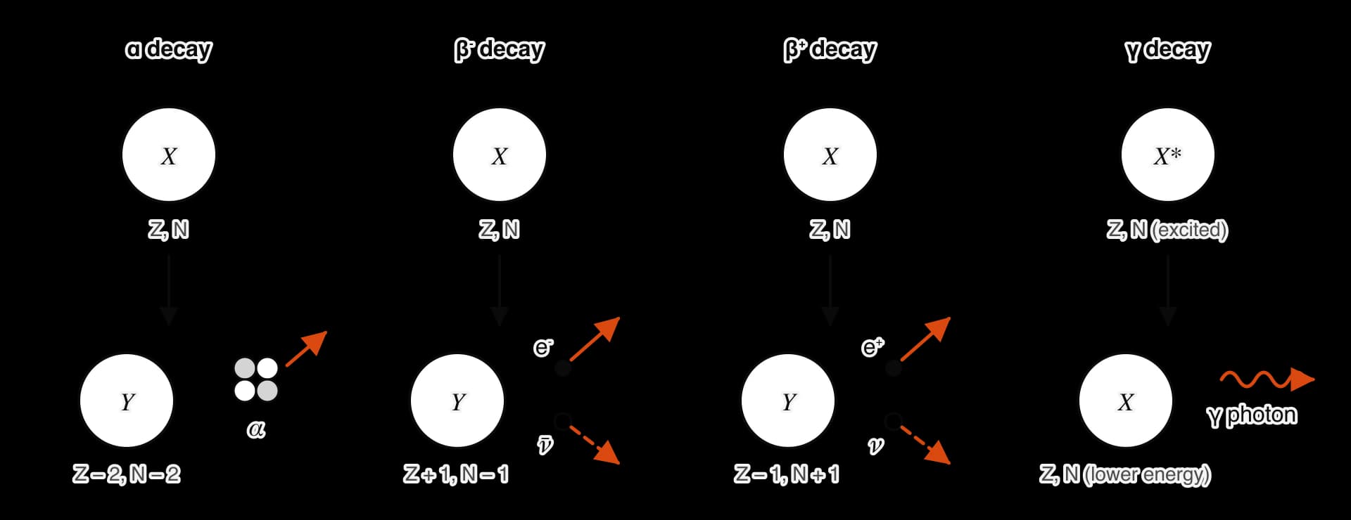 Four panels. Alpha decay: parent X with Z protons and N neutrons becomes Y with Z − 2, N − 2 and emits an alpha particle of 2 protons and 2 neutrons. Beta-minus: Y has Z + 1, N − 1, with an electron and an antineutrino emitted. Beta-plus: Y has Z − 1, N + 1, with a positron and a neutrino.