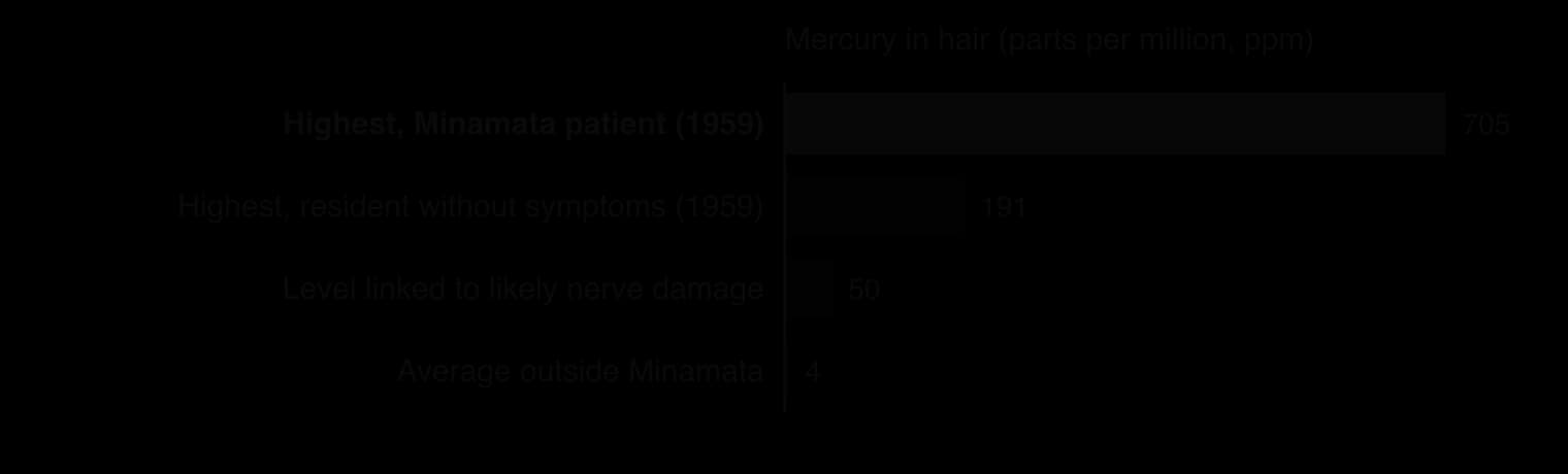 Bar chart of mercury in hair: highest Minamata patient in 1959, 705 ppm; highest resident without symptoms, 191 ppm; level linked to likely nerve damage, 50 ppm; average outside Minamata, 4 ppm.
