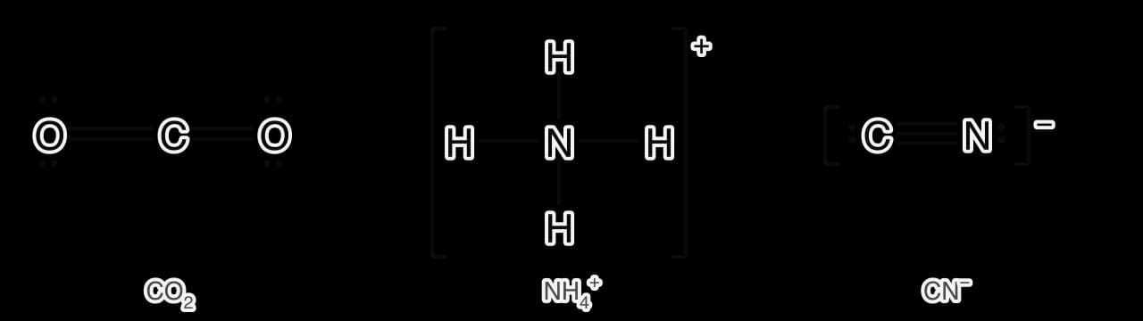 Lewis formulas. Carbon dioxide: O=C=O with two lone pairs on each oxygen. Ammonium ion: N bonded to four H atoms, in square brackets with a + charge. Cyanide ion: C triple-bonded to N with one lone pair on each atom, in square brackets with a − charge.