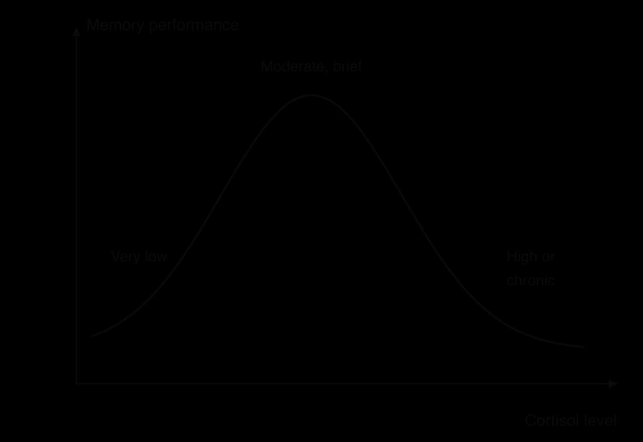 Illustrative inverted-U curve: memory performance (vertical axis) against cortisol level (horizontal axis). Performance is low at very low cortisol, highest at moderate brief levels and low again at high or chronic levels.