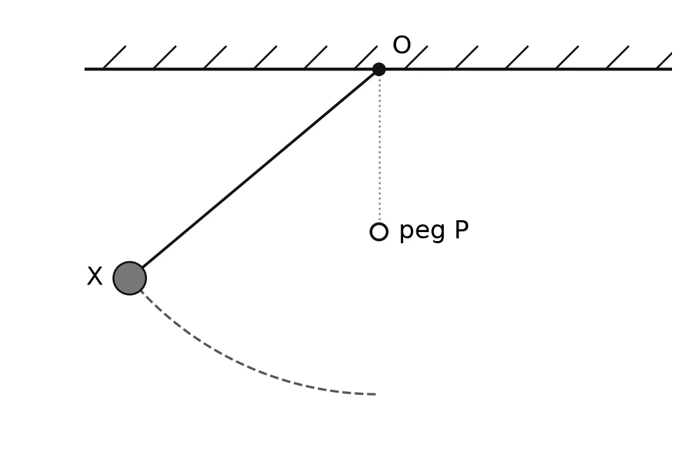 A pendulum hangs from point O on a ceiling. The bob is held at X, to the left, with the string taut at about 50 degrees to the vertical. A small peg P is directly below O, about halfway down. A dashed arc shows the bob's path from X to its lowest point.