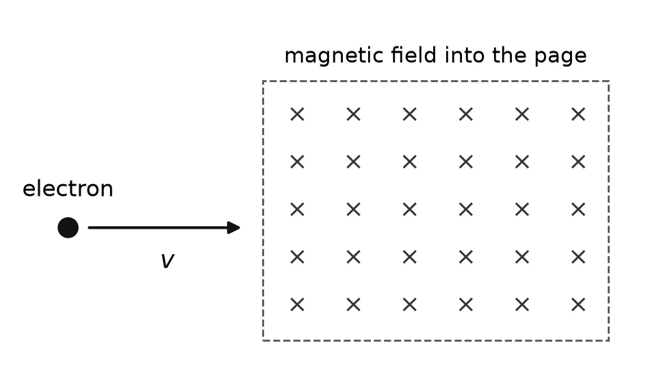 An electron moving to the right with velocity v approaches a rectangular region filled with crosses, labelled magnetic field into the page.