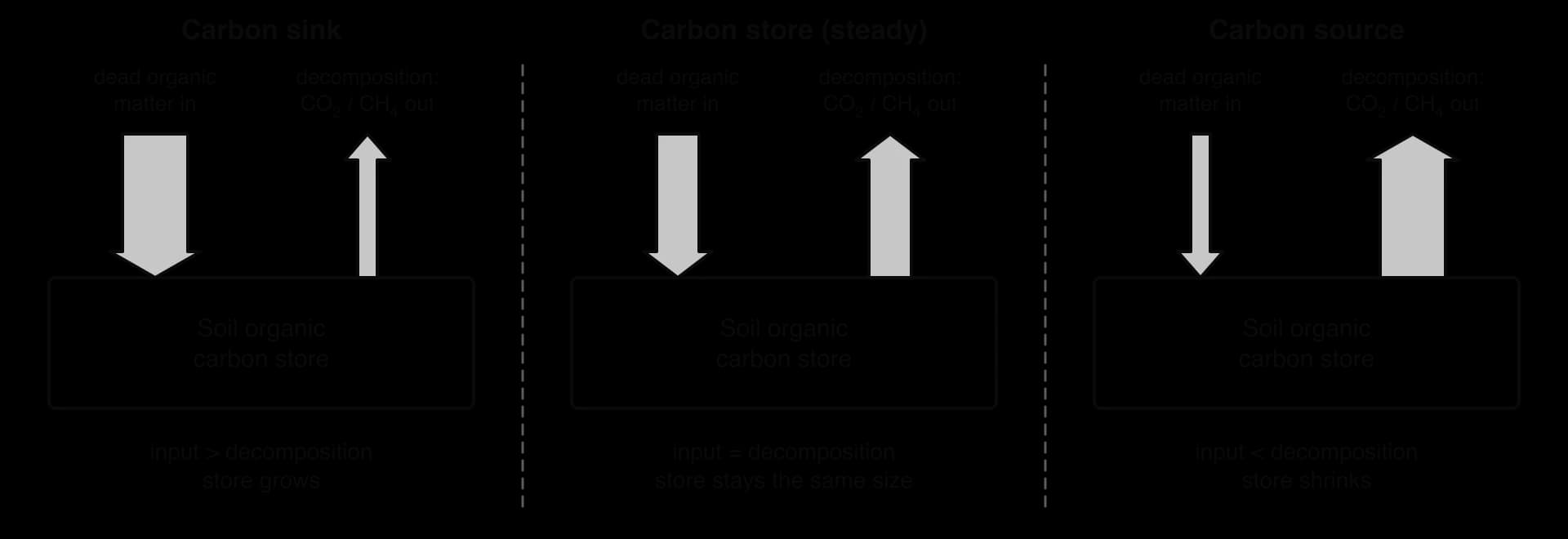 Three panels of a soil organic carbon store: a sink where the input of dead organic matter exceeds decomposition; a steady store where they are equal; a source where decomposition releasing CO2 and CH4 exceeds input.