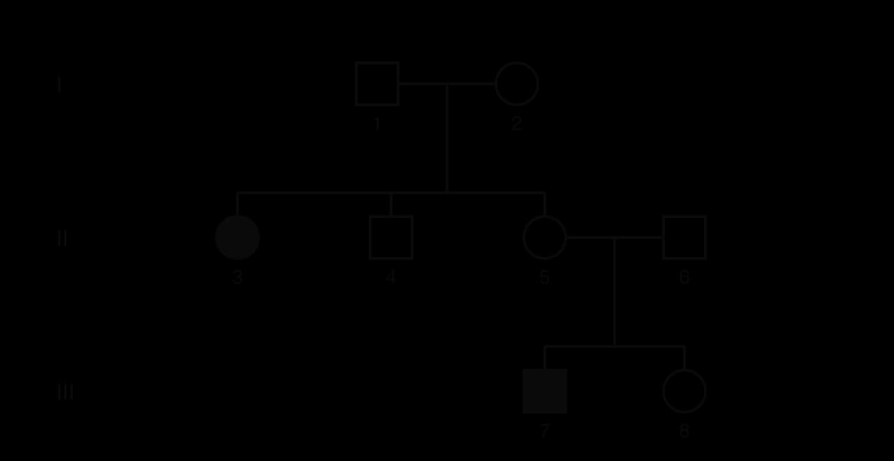 Pedigree of three generations. Generation I: unaffected male 1 and unaffected female 2. Generation II: their children, affected female 3, unaffected male 4 and unaffected female 5; female 5 has children with unaffected male 6. Generation III: affected male 7 and unaffected female 8.