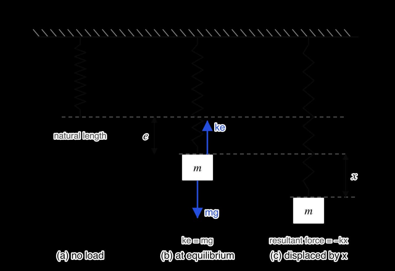 Three vertical springs hanging from a ceiling. (a) The spring at its natural length. (b) A mass m hangs at rest, extension e, with weight mg down and spring force ke up, so ke = mg. (c) The mass pulled a further distance x below equilibrium, where the resultant force is −kx.