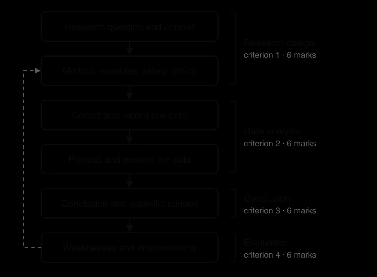 Six stages in a column: research question; method and variables; collect raw data; process data; conclusion; weaknesses and improvements. Brackets group them as Research design, Data analysis, Conclusion and Evaluation, 6 marks each. A dashed arrow loops from improvements back to method.