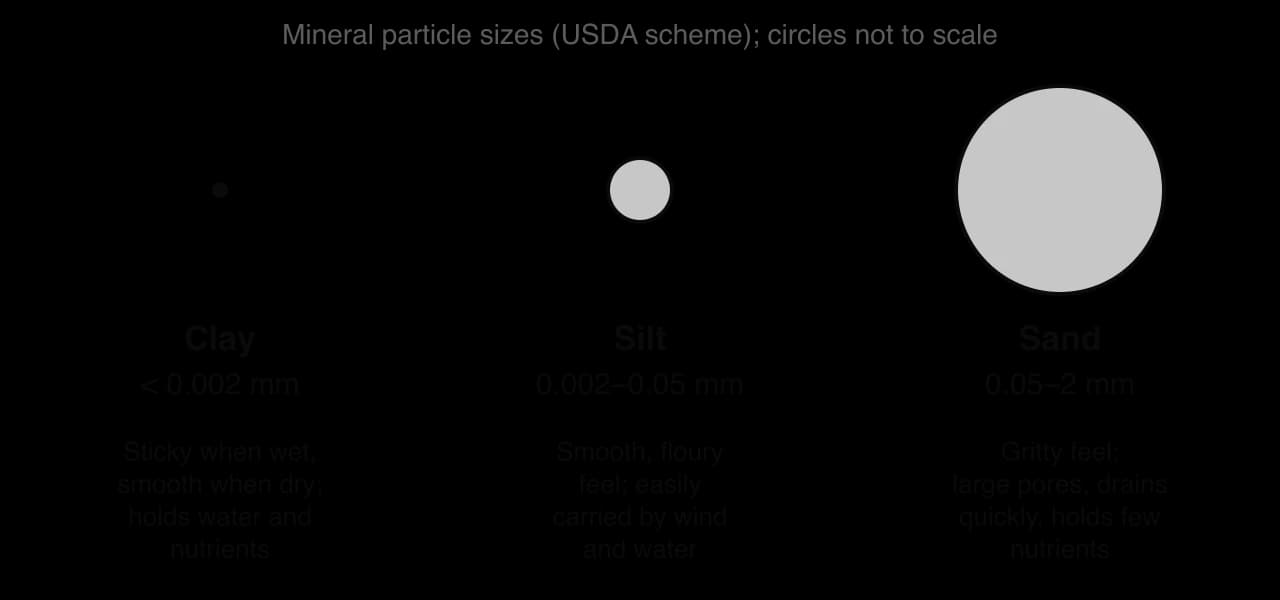 Three mineral particle classes: clay under 0.002 mm (sticky, holds water and nutrients), silt 0.002 to 0.05 mm (smooth, easily eroded), sand 0.05 to 2 mm (gritty, drains quickly, holds few nutrients).