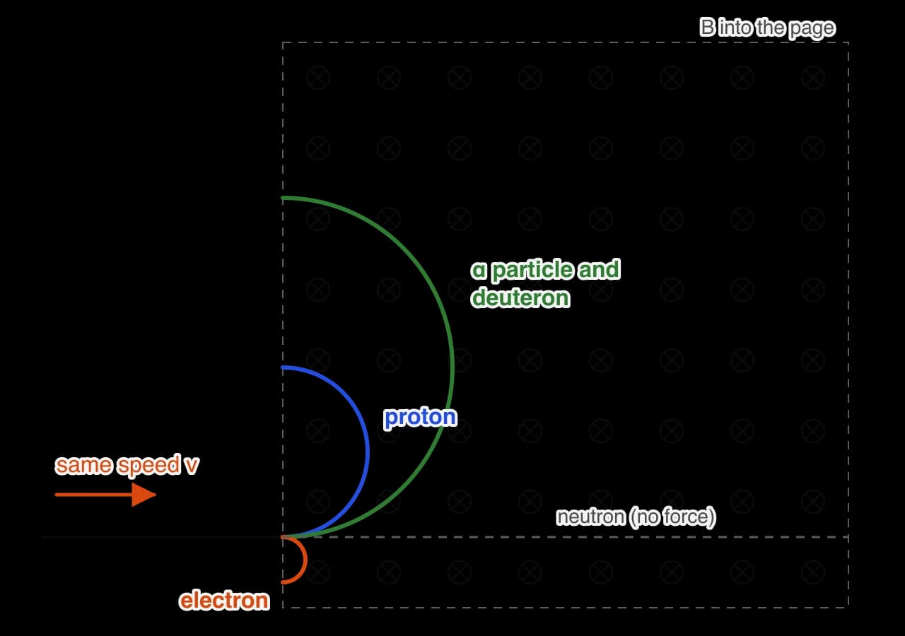 Particles enter a uniform magnetic field into the page from the left at the same speed. A proton curves upwards in a semicircle of small radius, an alpha particle and a deuteron curve upwards with twice that radius, an electron curves downwards in a very small semicircle, and a neutron goes…