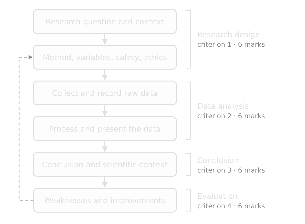 Six stages in a column: research question; method and variables; collect raw data; process data; conclusion; weaknesses and improvements. Brackets group them as Research design, Data analysis, Conclusion and Evaluation, 6 marks each. A dashed arrow loops from improvements back to method.