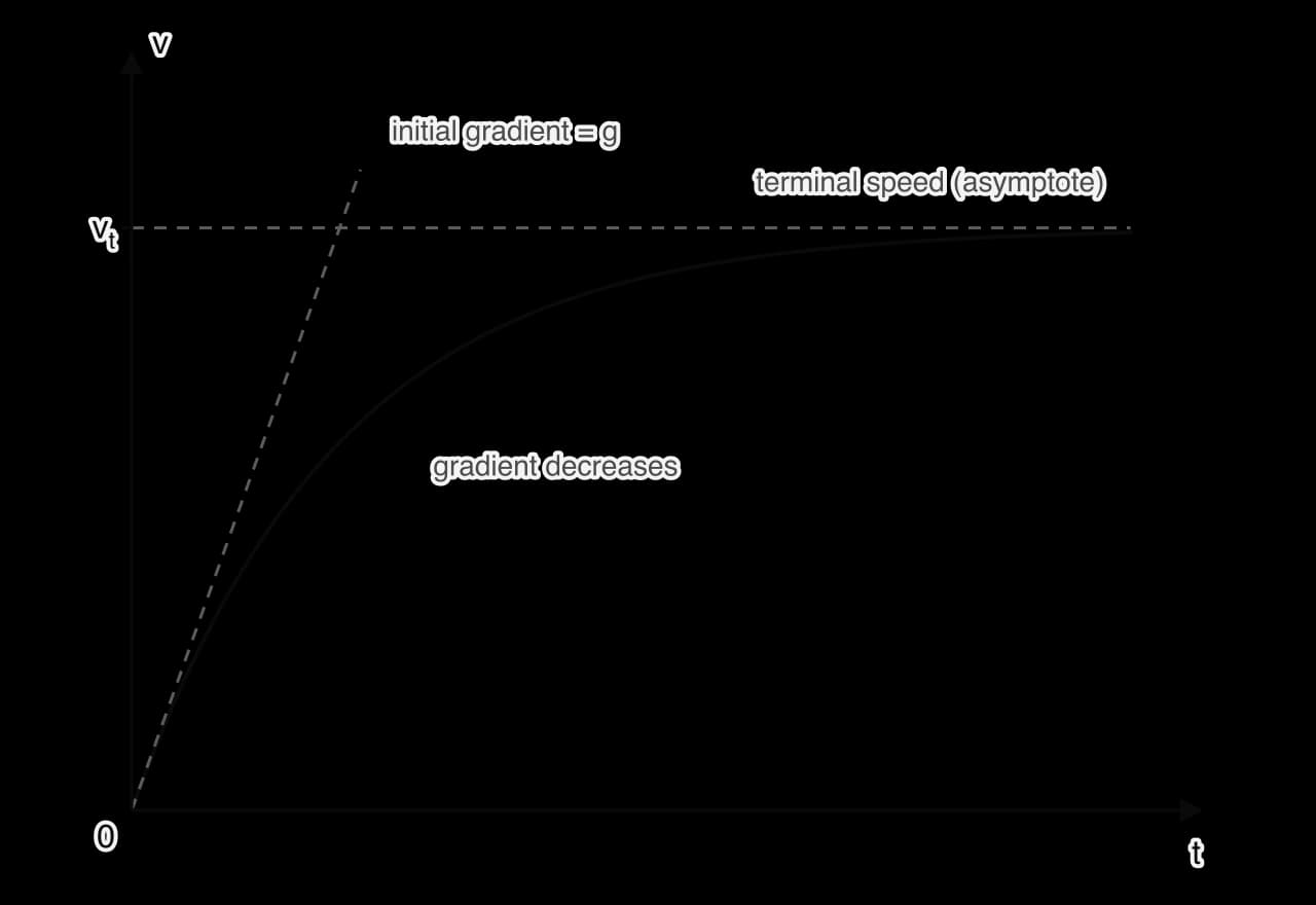 Sketch graph of speed v against time t for a falling object. The curve starts at the origin with gradient g, shown by a dashed tangent, its gradient decreases, and it levels off towards a dashed horizontal asymptote labelled v_t, the terminal speed.