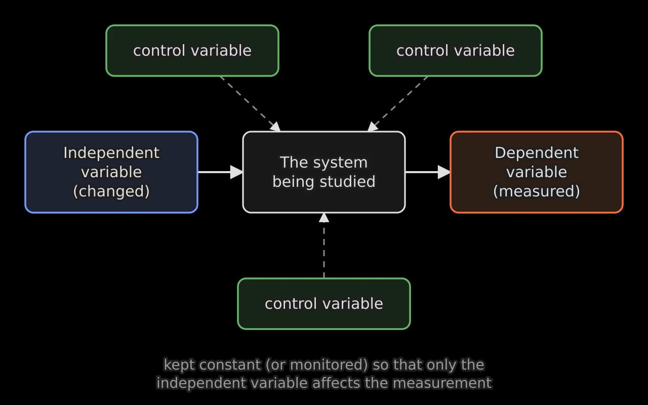 Flow diagram. A blue box, the independent variable (changed), points to a box labelled the system being studied, which points to an orange box, the dependent variable (measured).